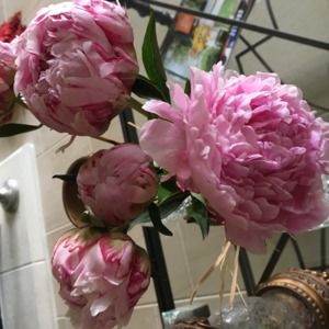 Meet your Posher, Fowzia